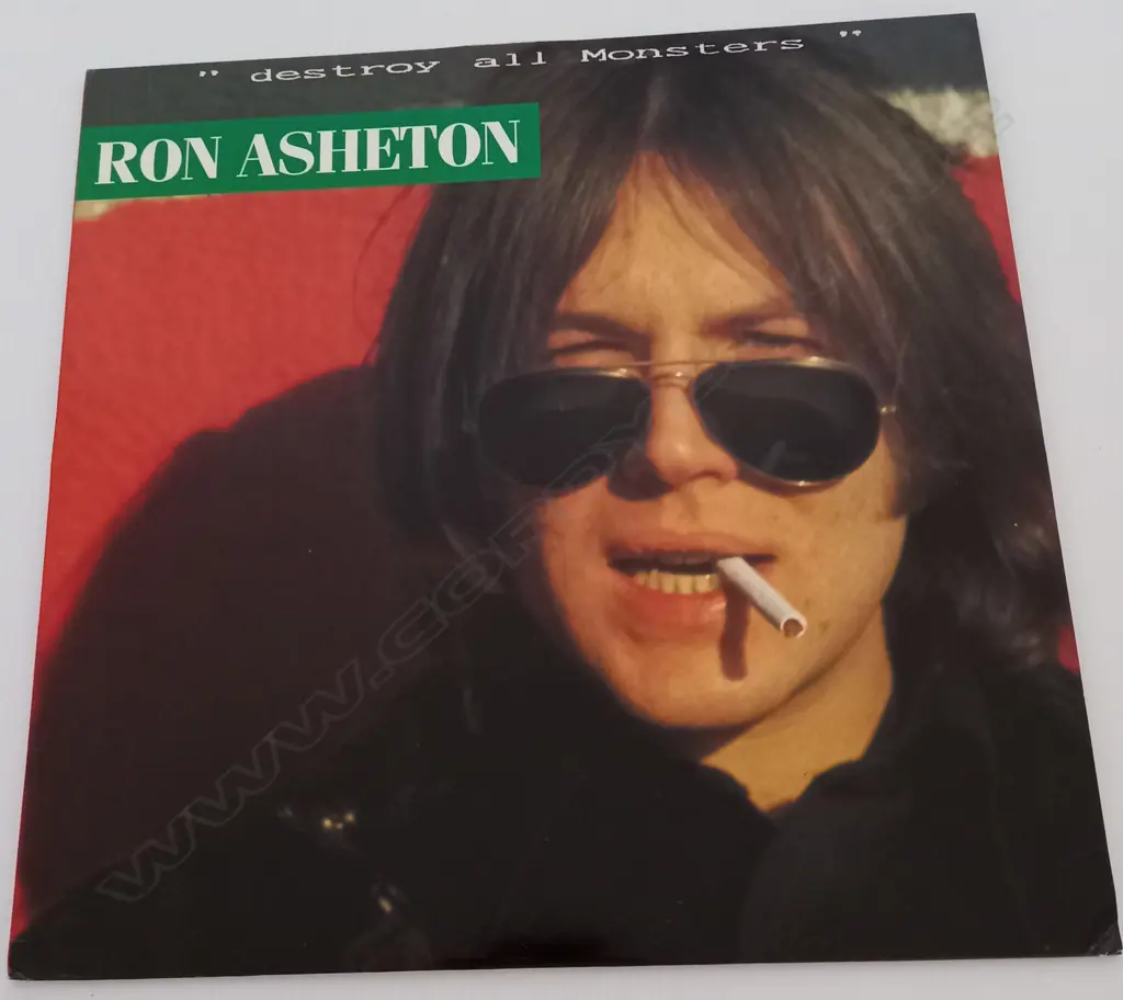 Ron Asheton, Destroy all Monsters Image 1++